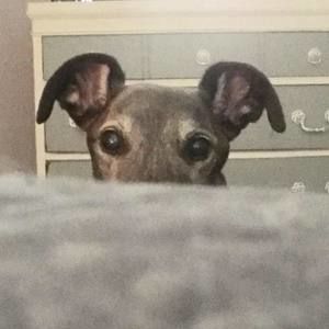 Meet your Posher, Jillian